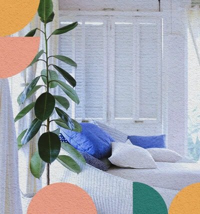 ¡Refresca tu vivienda con plantas ornamentales!